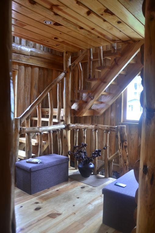 Guest house Agape Log 3*